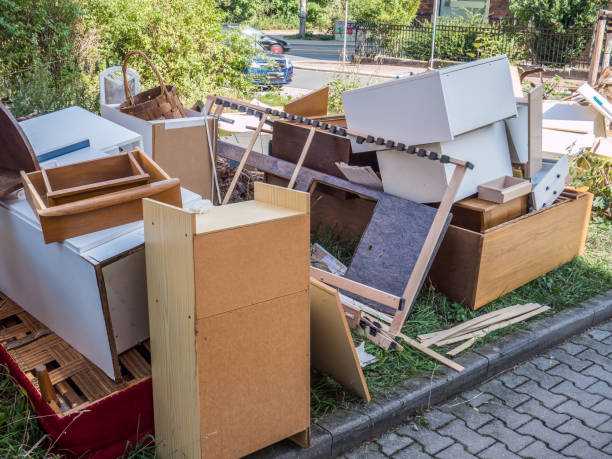 Yard Cleanup Services in Los Luceros, NM