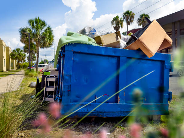 Best Junk Hauling Services  in Los Luceros, NM